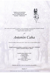 Antonín Caha