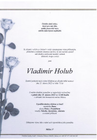 Vladimír Holub