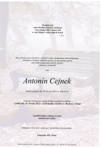 Antonín Cejnek
