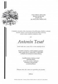 Antonín Tesař