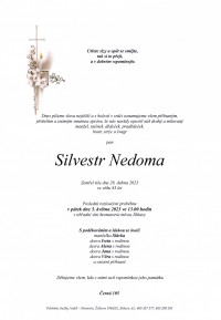 Silvestr Nedoma