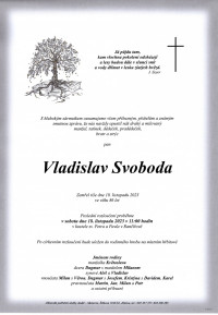 Vladislav Svoboda