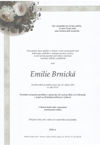 Nejbližší rozloučení - Emilie Brnická