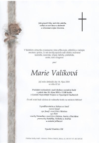 Nejbližší rozloučení - Marie Valíková