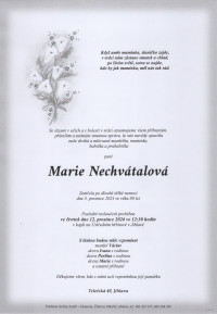 Marie Nechvátalová