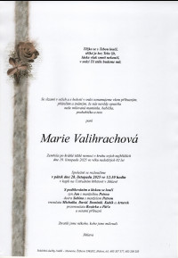 Nejbližší rozloučení - Marie Valihrachová