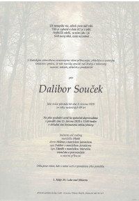 Dalibor Souček