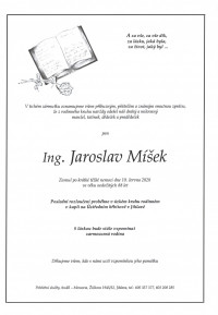 Ing. Jaroslav Míšek