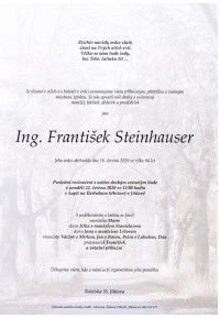 Ing. František Steinhauser